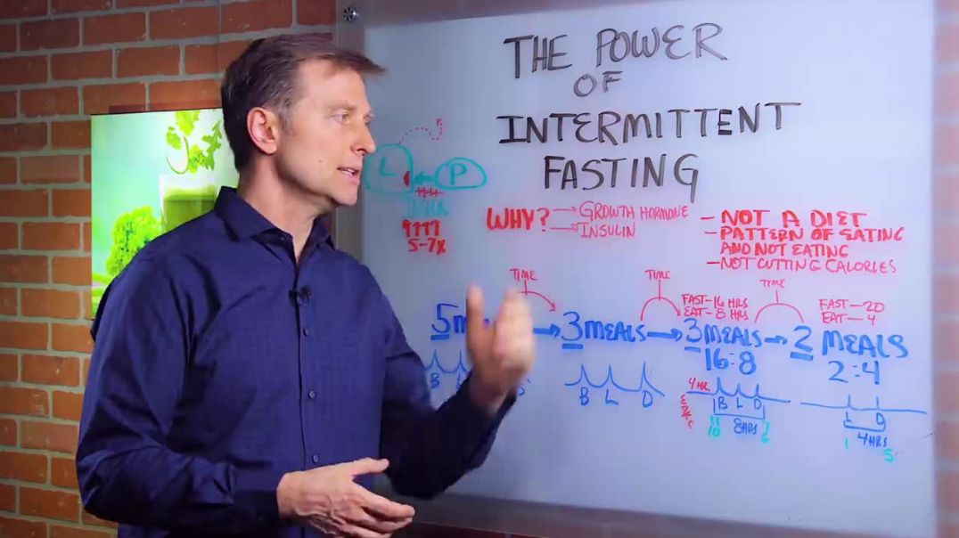 ⁣Intermittent Fasting - Dr. Berg