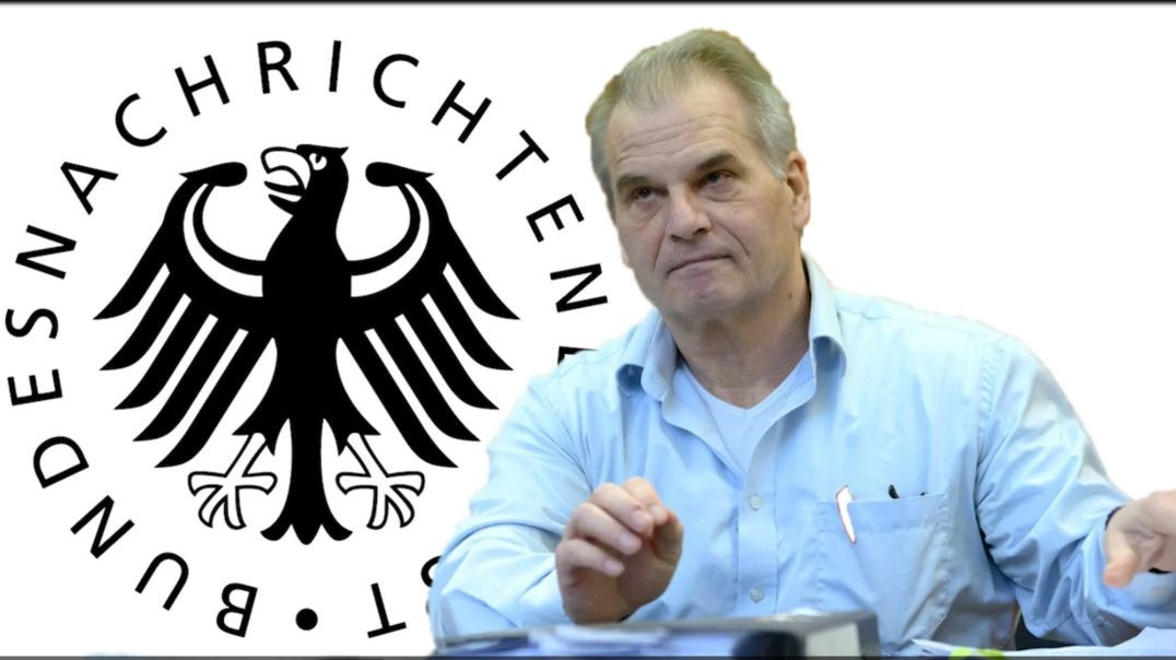 ⁣Leaked Dossier Shows German Government Conspired To Silence Reiner Fuëllmich